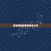属兔婚配属相老鼠怎么样，属鼠和属兔相配吗 详细�0�3