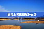 属猪上等婚配属什么好，71年属猪女更佳婚配