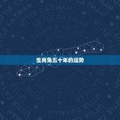 生肖兔五十年的运势，生肖兔今天运势