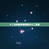 十二生肖最佳姻缘配对十二星座，十二生肖配对姻缘合婚