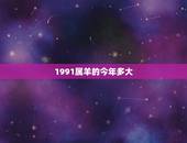 1991属羊的今年多大，属龙今年多大