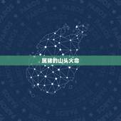 属猪的山头火命，找什么对象，我95年出生属猪，山头火命，可为什么有的风