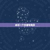 成功一个月备孕男孩，上一胎预知下一胎男女