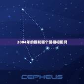 2004年的猴和哪个属相相配吗，猴最相配的生肖？