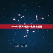 1969年属鸡婚配什么属相最好，1969年属鸡的人和什么生肖最配合