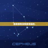 绝命婚有没有很幸福的，如果结婚后感觉自己过得不幸福，该怎么办。