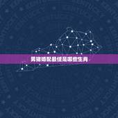 男猪婚配最佳是哪些生肖，属相猪和什么配最佳