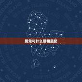 属兔与什么属相最配，哪个生肖最旺兔
