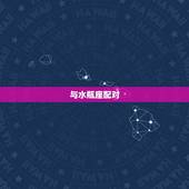 双子座配对星座女(与哪些星座最般配)