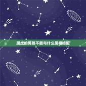 属虎的男孩不能与什么属相婚配，属虎的和哪些生肖相克？