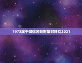 1973属于微信名旺财聚财好女2021，什么微信头像聚财