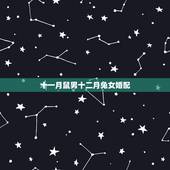 十一月鼠男十二月兔女婚配，农历11月鼠男和农历9月兔女合吗