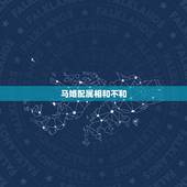 马婚配属相和不和，马和马属相相配吗？