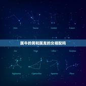 属牛的男和属龙的女相配吗，属牛和属龙相配吗？