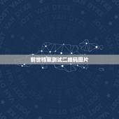 前世档案测试二维码图片，求各位指点，我记得有一个测试游戏，就是测你的前