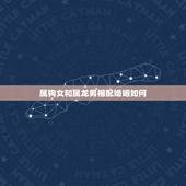 属狗女和属龙男相配婚姻如何，龙和狗在一起对谁不利