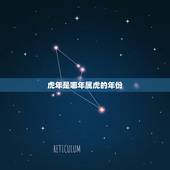 虎年是哪年属虎的年份，虎年和什么生肖最配