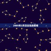2005年2月日出生的属相，新历2005年2月7日属什么生肖