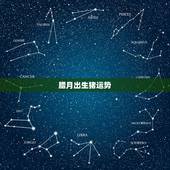 腊月出生猪运势，阴历腊月初四岀生的猪运势