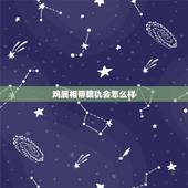 鸡属相带貔犰会怎么样，属鸡的带开光貔貅好吗。