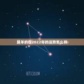 属羊的在2022年的运势怎么样，79年羊2022年运势如何