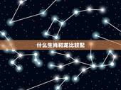 什么生肖和龙比较配，属龙的今年多大