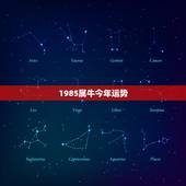1985属牛今年运势，85年属牛今年的运势如何