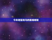 今年老鼠和马的属相婚配，属相婚配鼠与鼠