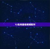 12生肖最佳婚姻配对，十二生肖和什么属相最配