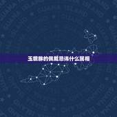玉貔貅的佩戴忌讳什么属相，那些属相不适合戴玉 什么属相不能戴玉貔貅