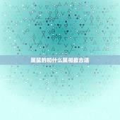 属鼠的和什么属相最合适，十二生肖鼠配什么生肖更好
