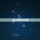 2021年生肖兔吉祥物，2021年属兔人发财方向