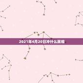 2021年4月20日冲什么属相，2021年4月20日的前488天是几年