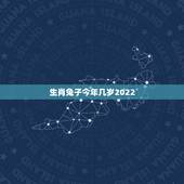 生肖兔子今年几岁2022，1987年属兔2022年运势