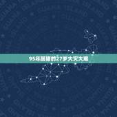 95年属猪的27岁大灾大难，95年属猪的和什么属相犯冲