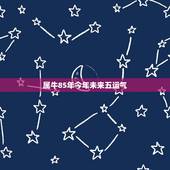 属牛85年今年未来五运气 85年的牛未来5年运势
