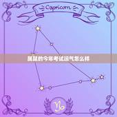 属鼠的今年考试运气怎么样，属鼠人2023年的学业