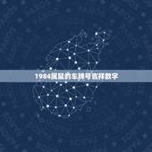 1984属鼠的车牌号吉祥数字，1984年属鼠的幸运数字