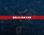 属鸡2022年多大岁数，81年属鸡40岁以后交运