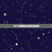 1977年属蛇女的财运如何，属蛇的财运，77年属蛇的运程