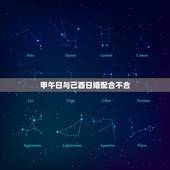甲午日与己酉日婚配合不合，请懂的人帮我看下，两人八字合不合