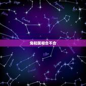 兔和属相合不合，天珠佩戴禁忌与属相