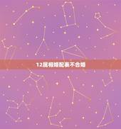 12属相婚配表不合婚，十二生肖婚配:属相合婚配对表