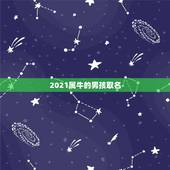 2021属牛的男孩取名，2021年好听的男宝宝名字