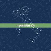 70岁的虎是什么年，满7o岁的虎今年怎样