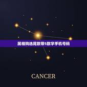 属相狗选尾数带5数字手机号码，属狗的用什么手机号