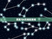 男属马8月婚配属相，属马的属相婚配表男 属马人婚配有哪些宜忌