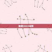 属猪2022运势，2021年运势属猪运势