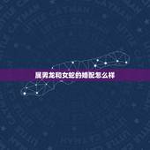 属男龙和女蛇的婚配怎么样，女属蛇男属龙的婚配如何