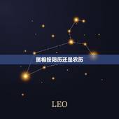 属相按阳历还是农历，中国属相是按照阳历还是阴历算？